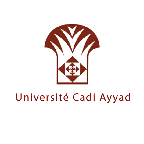 Cadi Ayyad de Marrakech intègre le Top 400 des universités mondiales